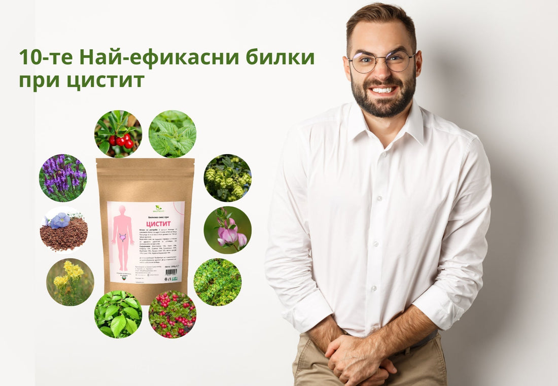 10-те Най-мощни билки за цистит, събрани в един пакет